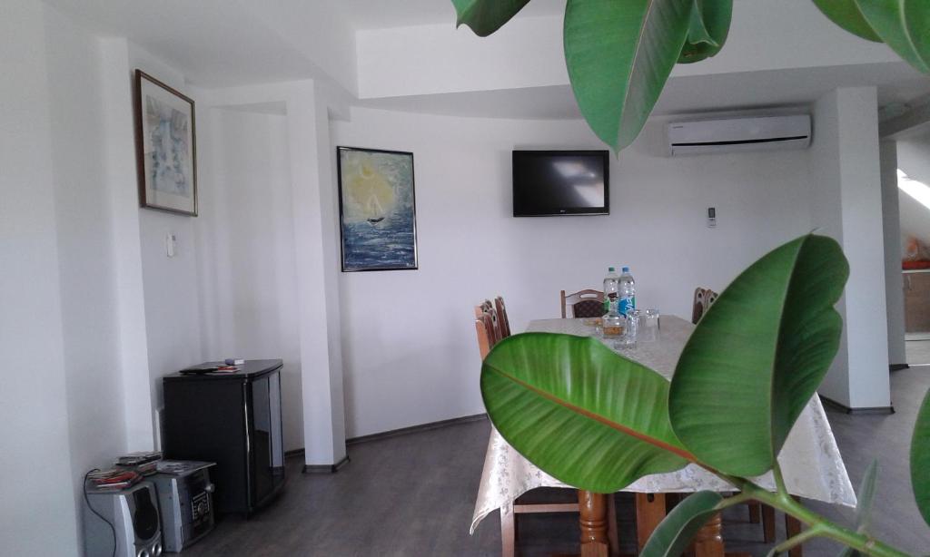 Apartment Setaliste photo 4