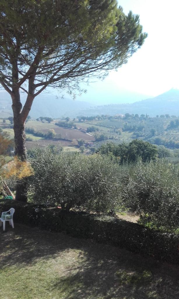 B&B Colle San Francesco photo 4