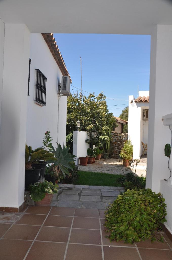 El Levante photo 3