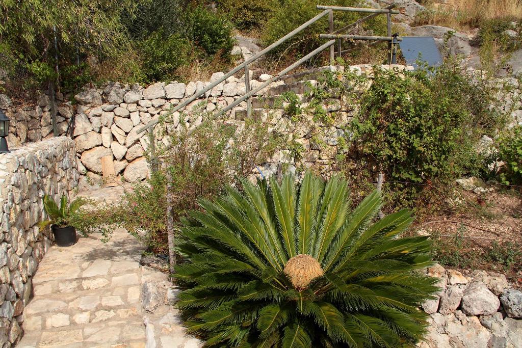 Casa Bella Mirada photo 3