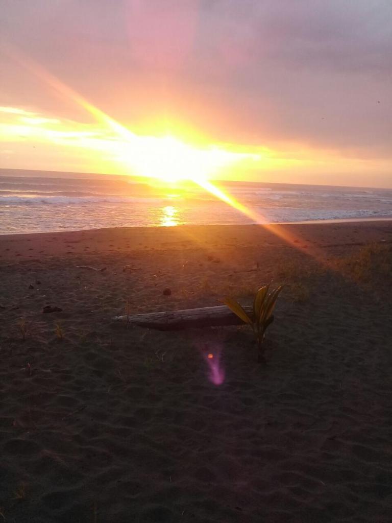 Hotel Playa Westfalia photo 4
