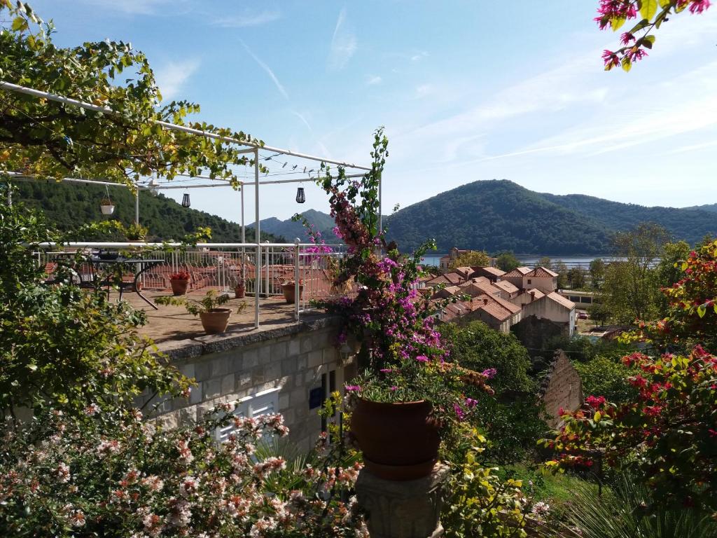 Apartman Matić photo 3