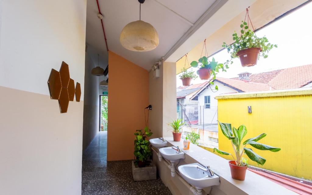 Семейный (Семейный номер с общей ванной комнатой (4 кровати)), The Hive Singapore Hostel