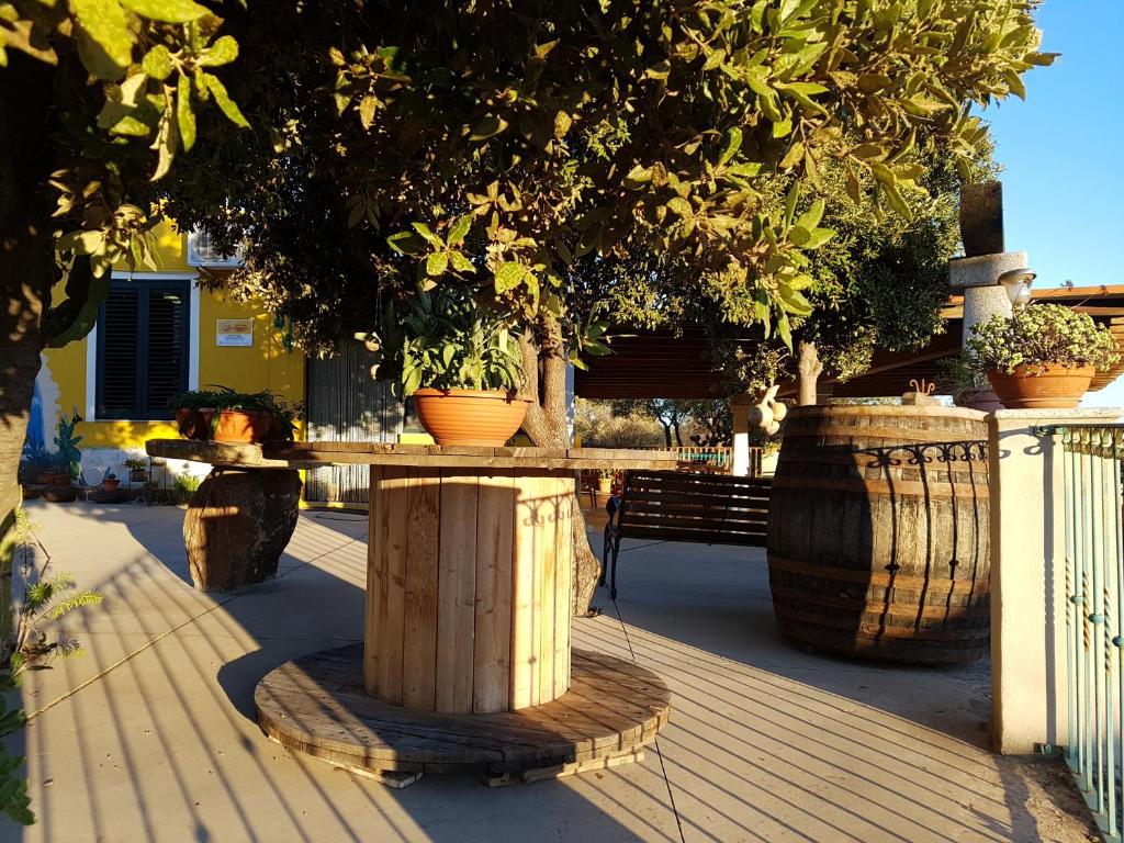 Agriturismo Chiai Francesco photo 4