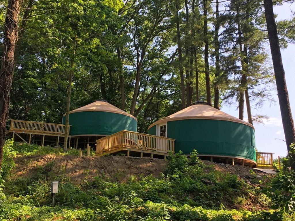 Circle M Camping Resort 16 ft. Yurt 1 photo 2