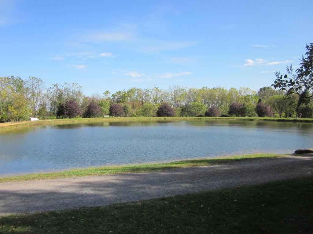 Appalachian Camping Resort Park Model 2 photo 3