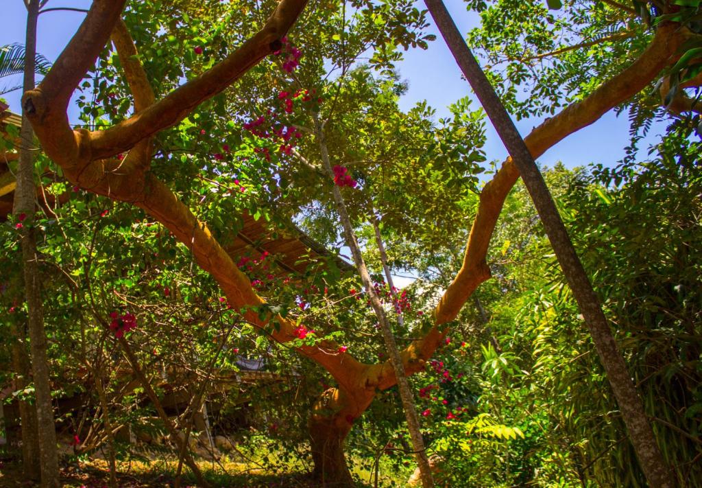 Yacumaman Sanctuary photo 4