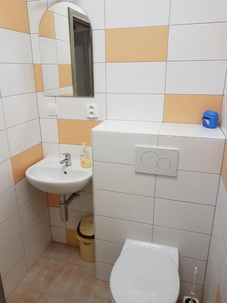 Apartmany u Dvora photo 2