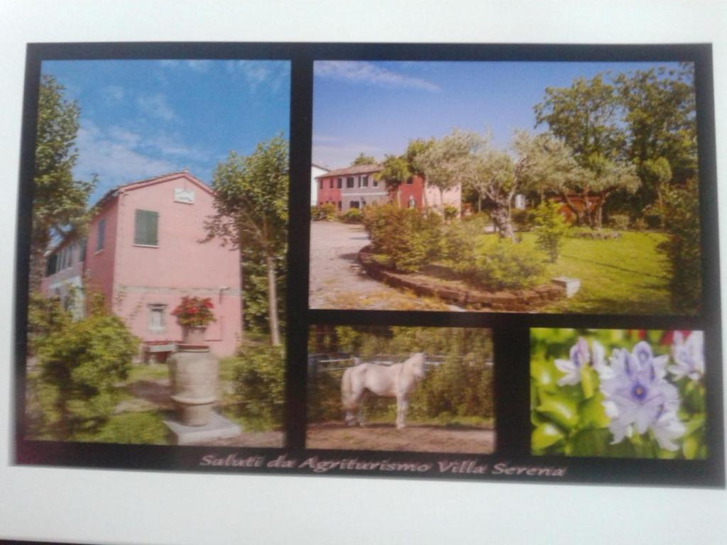 Agriturismo Villa Serena photo 1