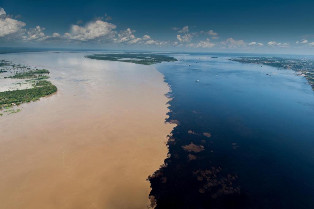 Juma Amazon Lodge photo 1