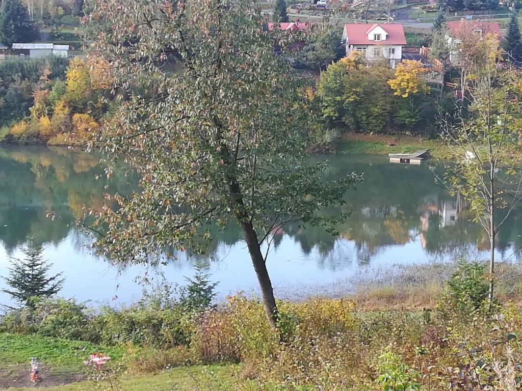Pokoje Na Skale nad Jeziorem Solińskim 691-363-701 photo 2