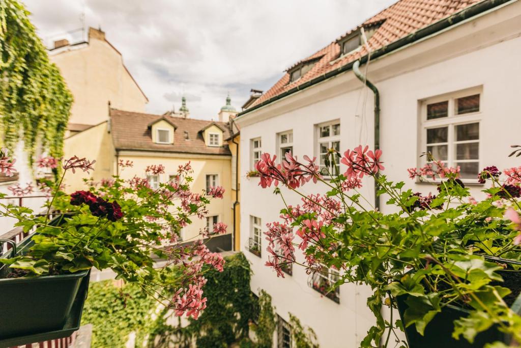 Апартаменты (Апартаменты-студио), Апартаменты Prague Siesta
