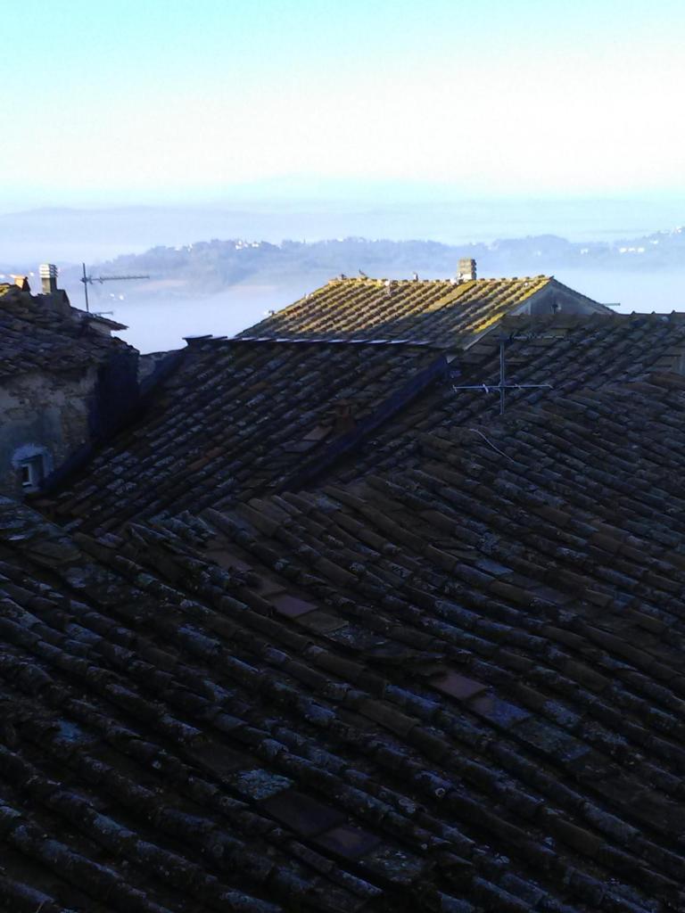 La terrazza di Susanna photo 3