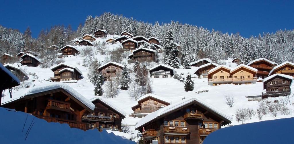 Chalet Etoile photo 3