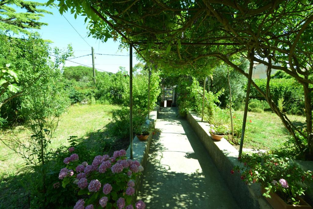 Apartment Renata photo 3