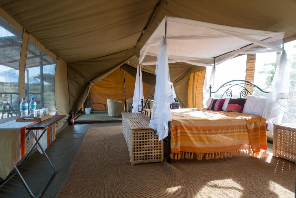 Serengeti Wildebeest Camp photo 1