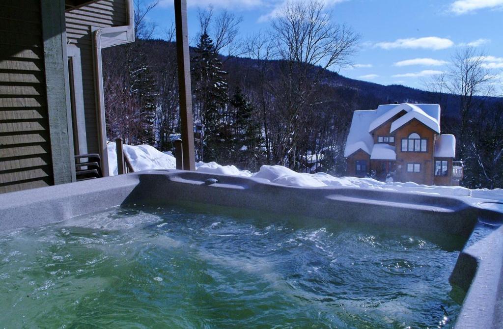 Chalets Alpins - 54 Chemin des Skieurs photo 3
