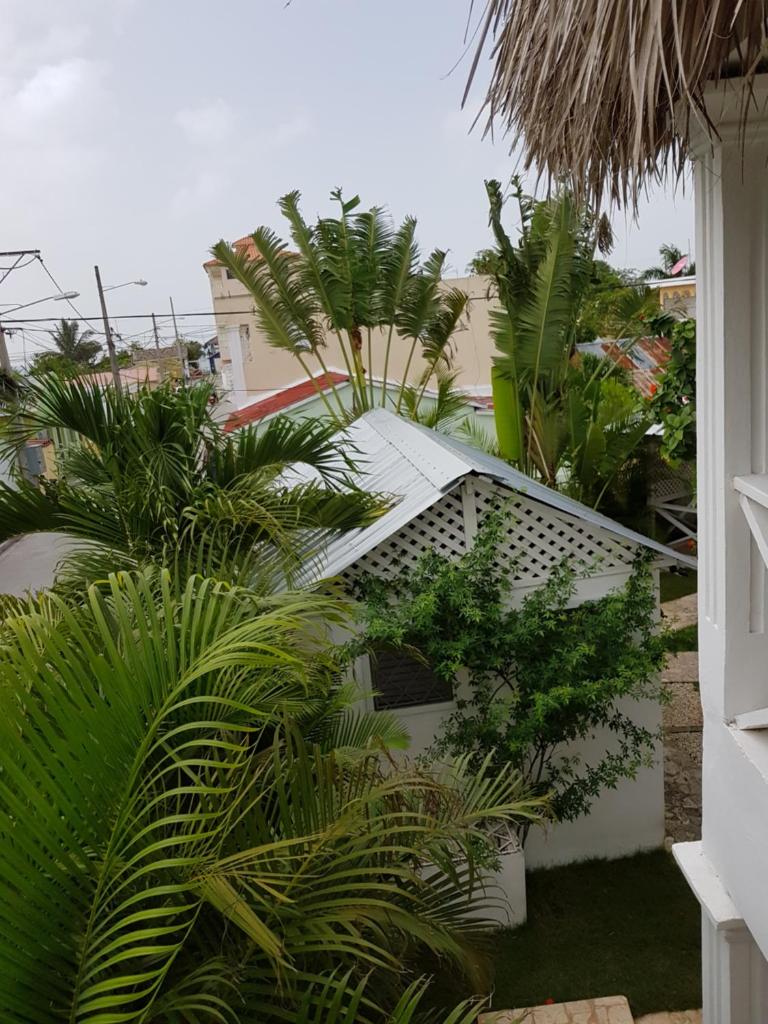 Двухместный (Двухместный номер «Комфорт» с 1 кроватью), Bayahibe Guest House Hotel