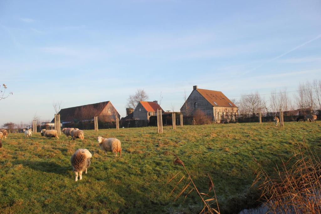 De Molenkreek photo 1