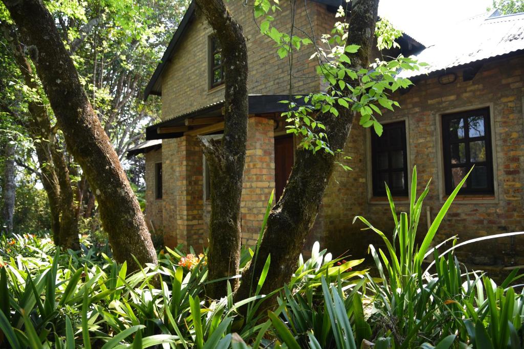Molly's Cottage