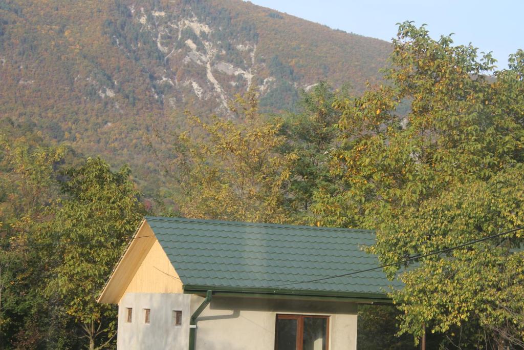 Taripiri Cottages - Tap to explore photos