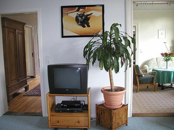 Ferienwohnung-im-historischen-Kaufhaus-Angeln photo 1