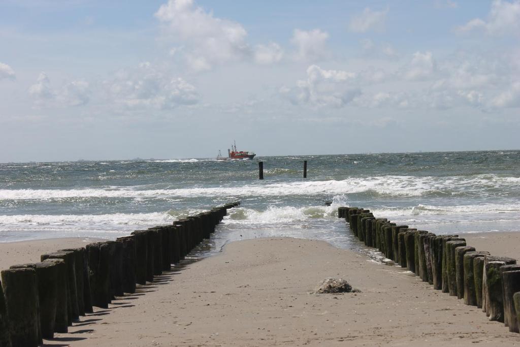 Zon Zee Zoutelande photo 2