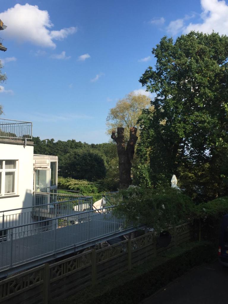 Ferienwohnung Seestern, Villa Vilmblick photo 4