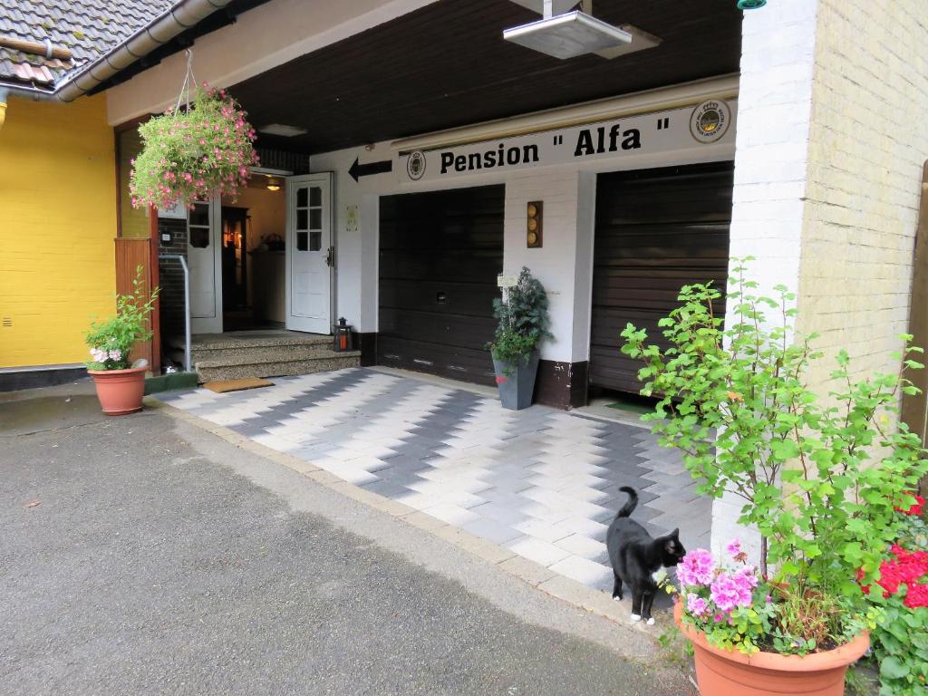 Pension Alfa photo 1