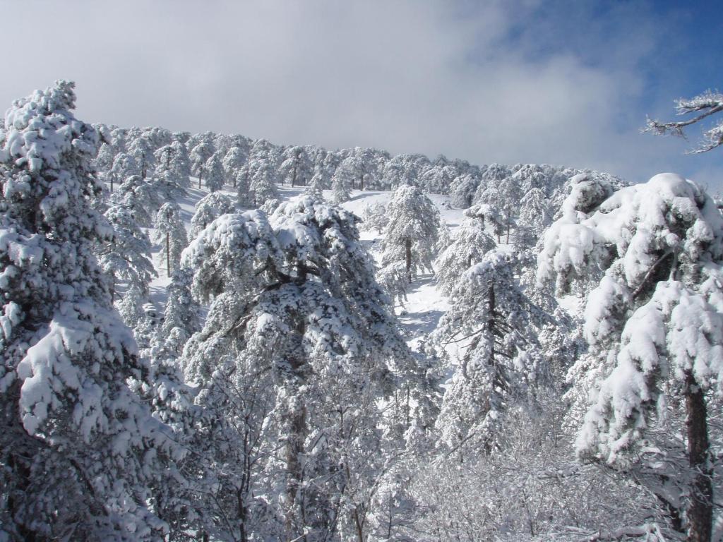 Jubilee Hotel Troodos photo 2