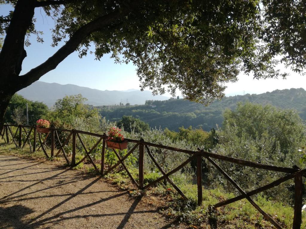 Le Storie di Bambu photo 2