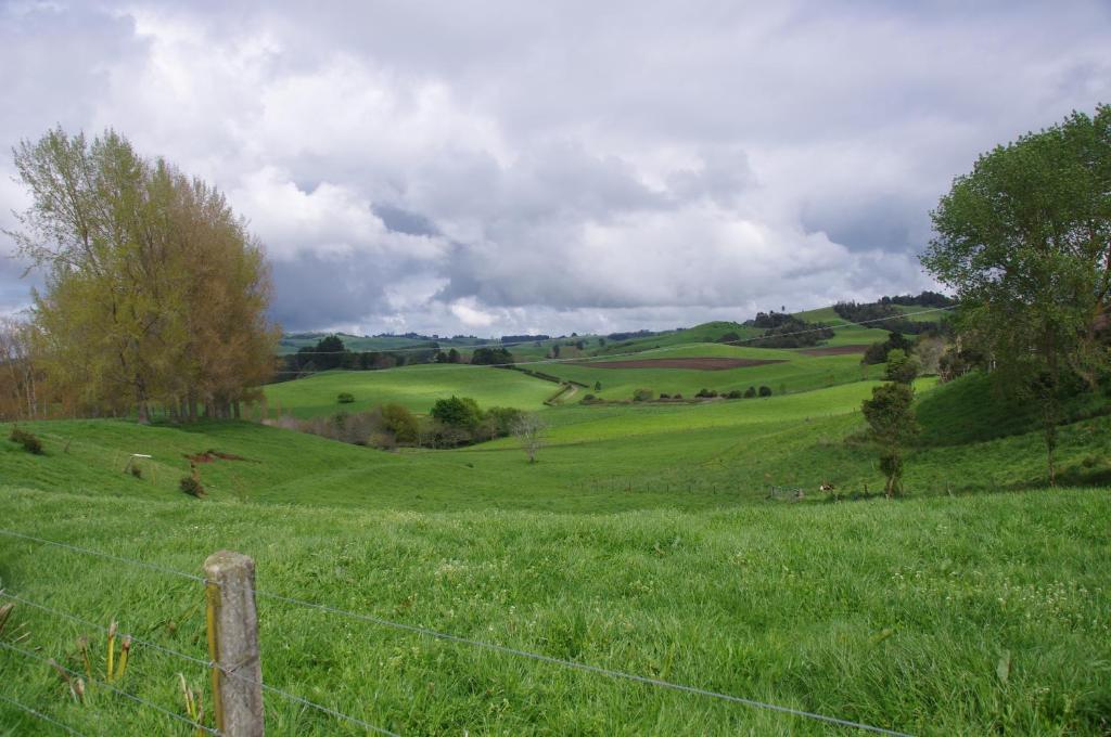Serenity on Brunskill photo 3