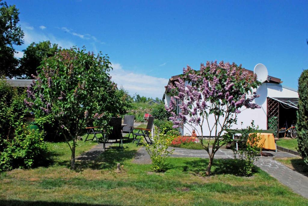 Bungalow in Altefaehr photo 4