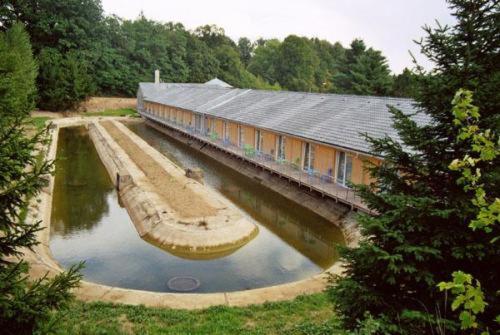 Motel Dacice photo 1