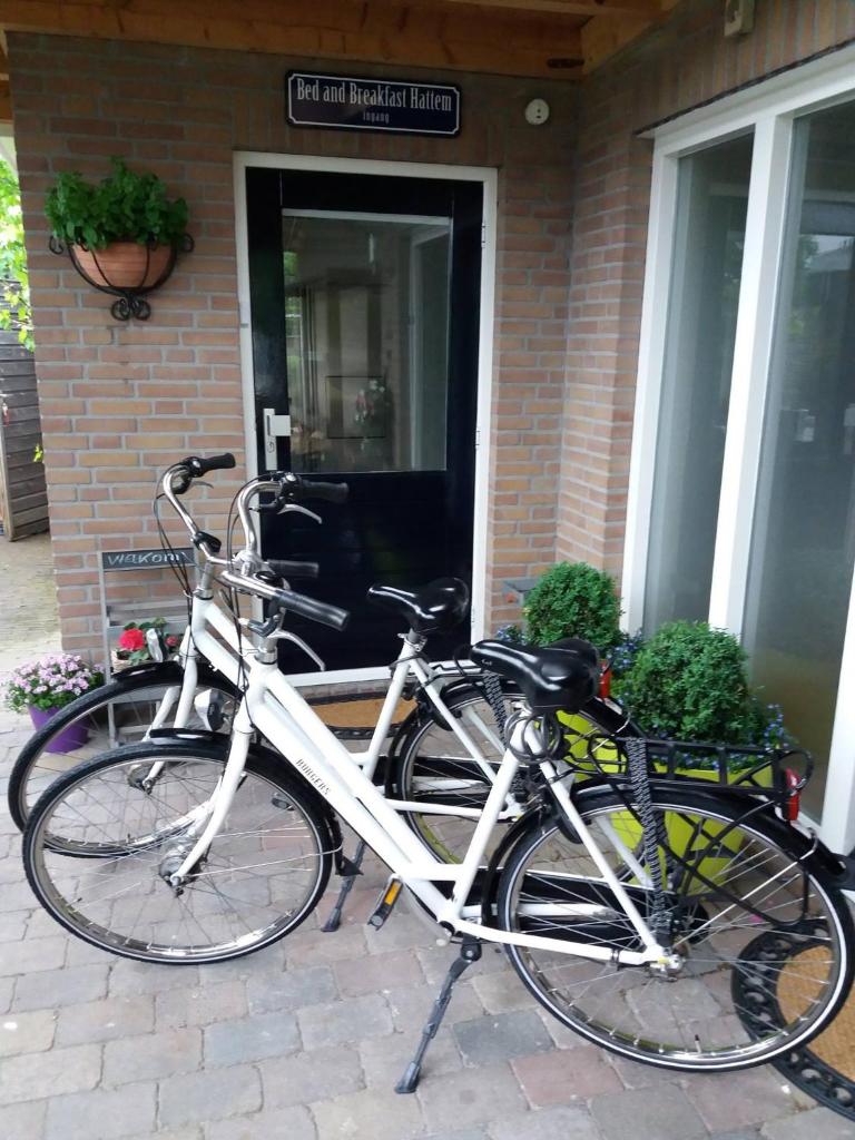 Bed and Breakfast Hattem photo 3