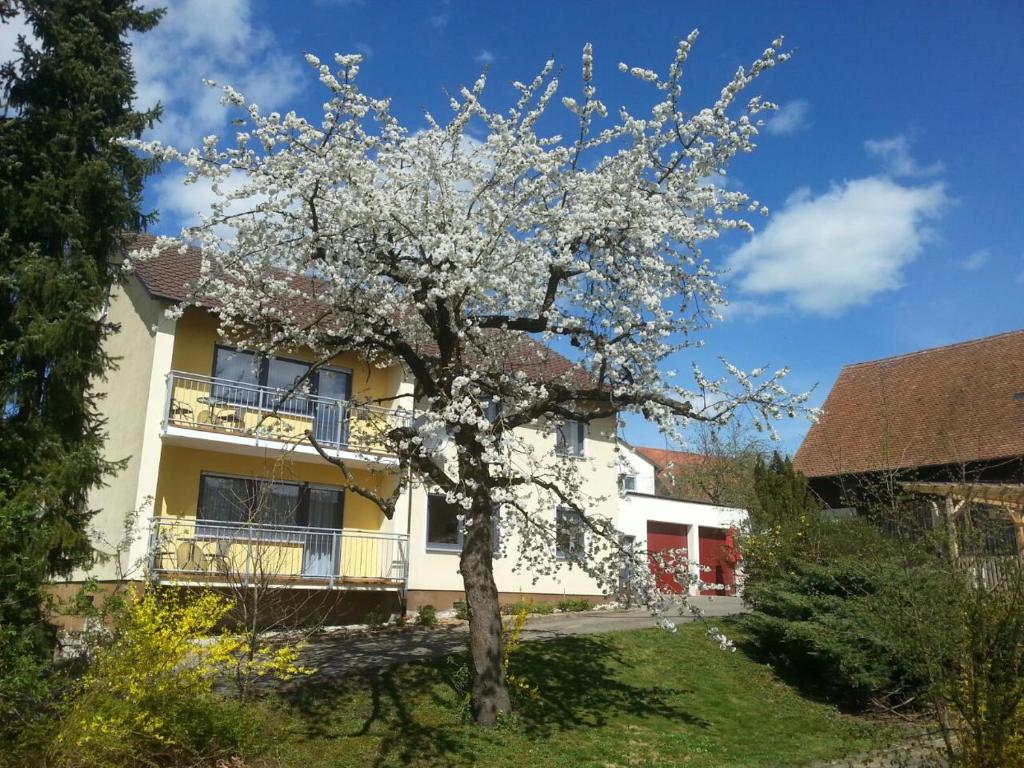Ferienwohnung & Gästezimmer Rixner photo 1