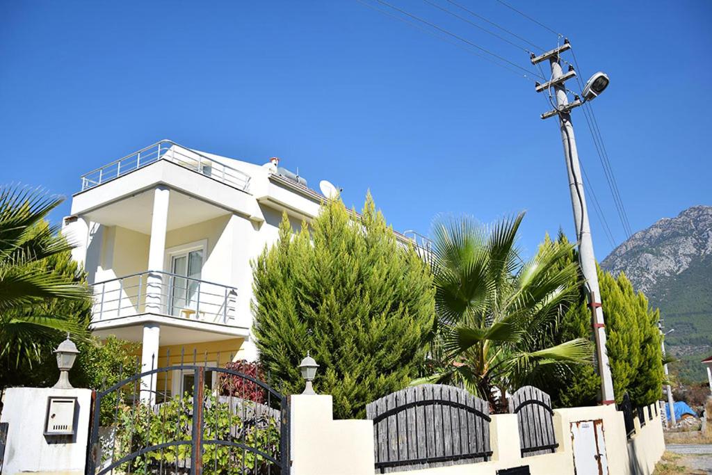 Villa Olive photo 4