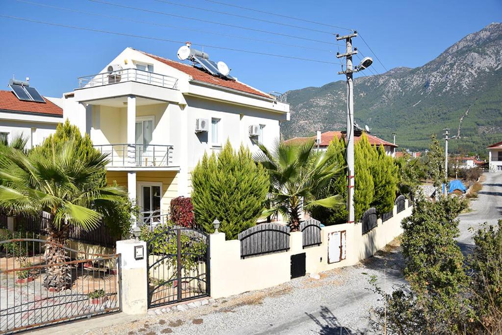 Villa Olive photo 1