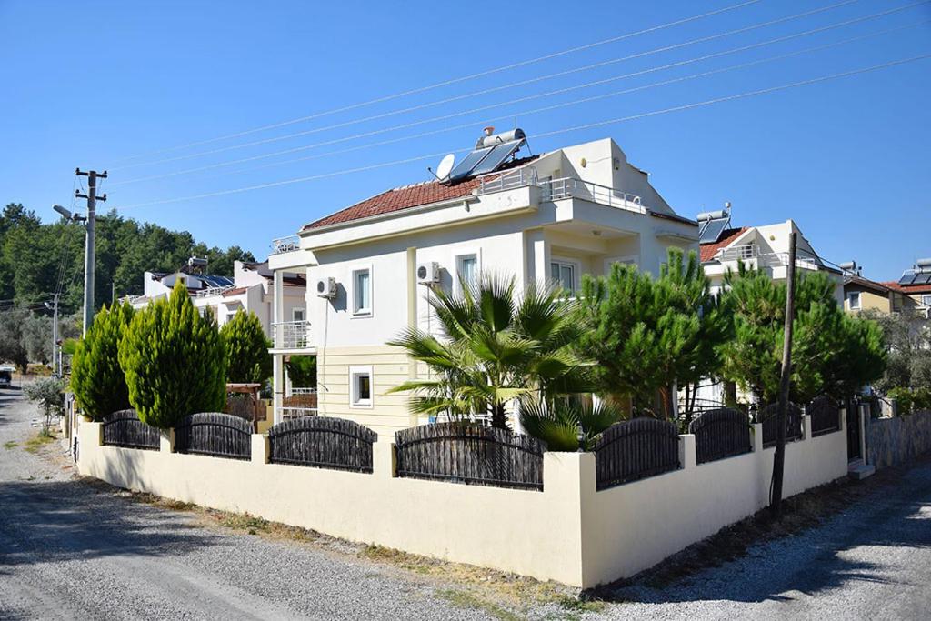 Villa Olive photo 2