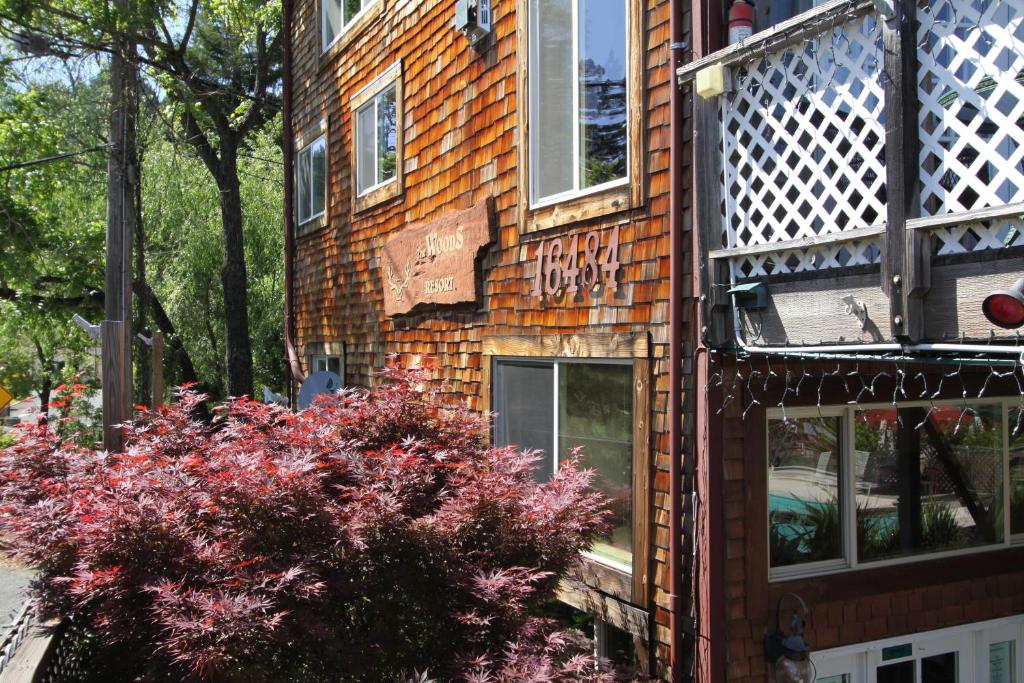 The Woods Hotel - Gay LGBTQ Cabins photo 2