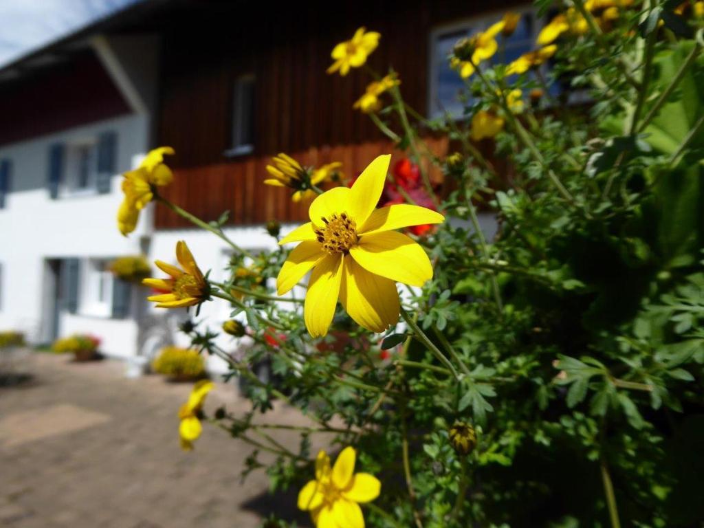 Ferienwohnung Rupp photo 4