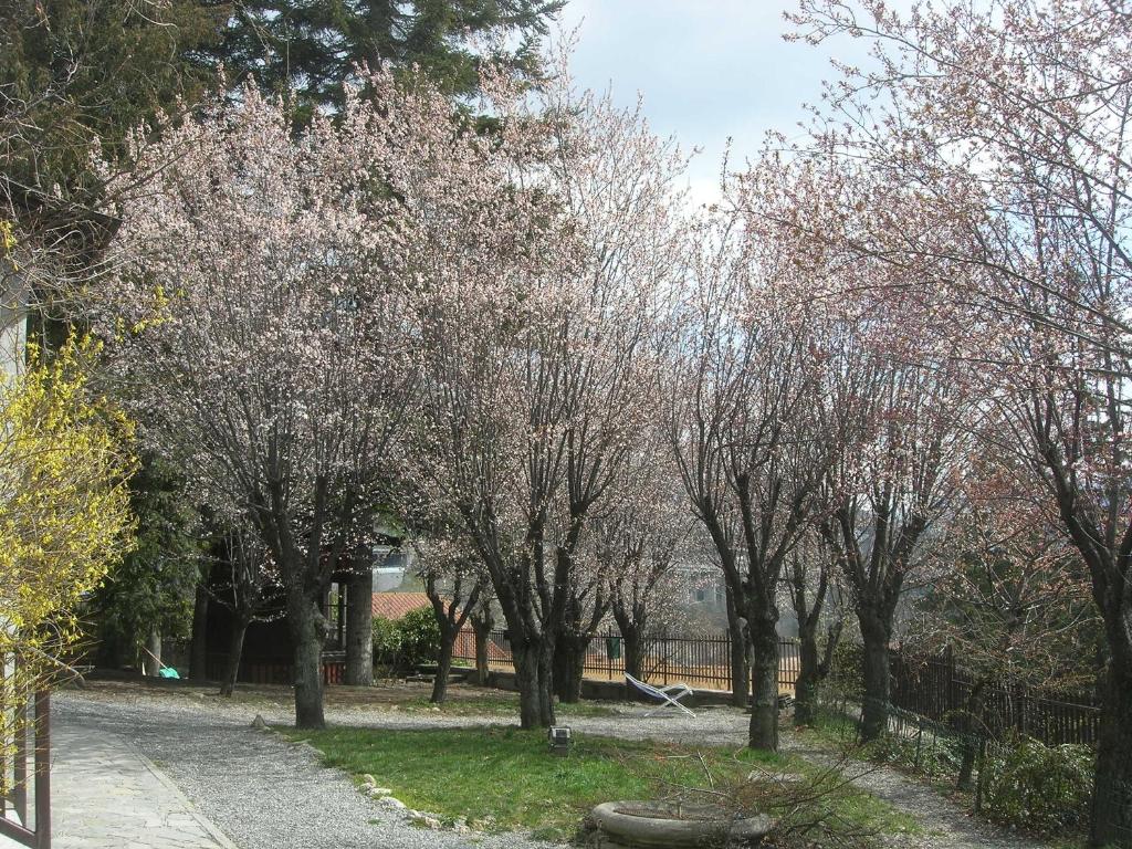 Residence Villa Linda photo 2