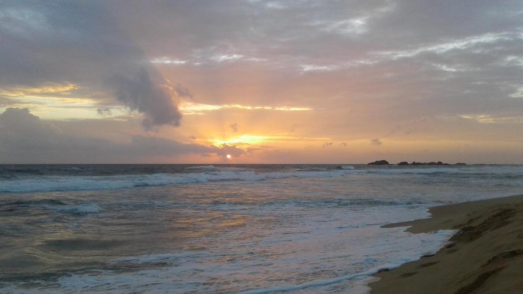 Bandula's Beach Inn photo 2