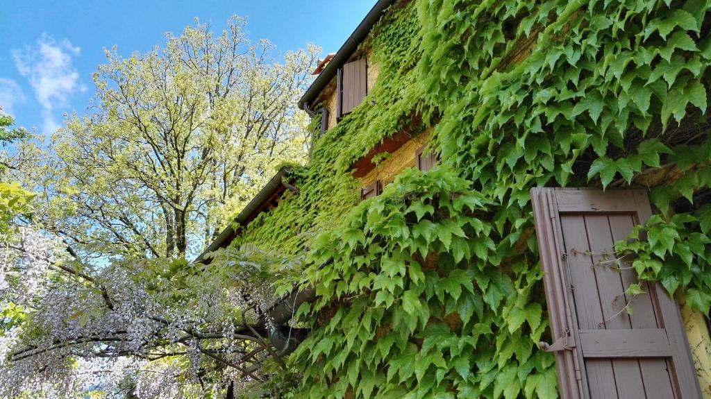 B&B Le Due Volpi photo 4