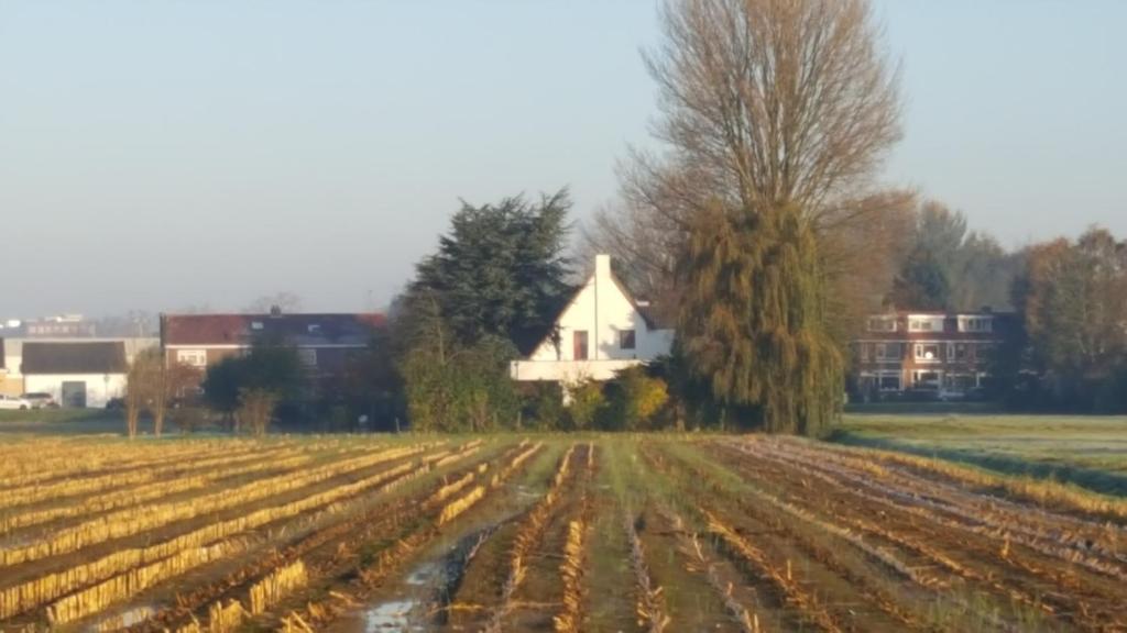 De Gaanderij photo 4