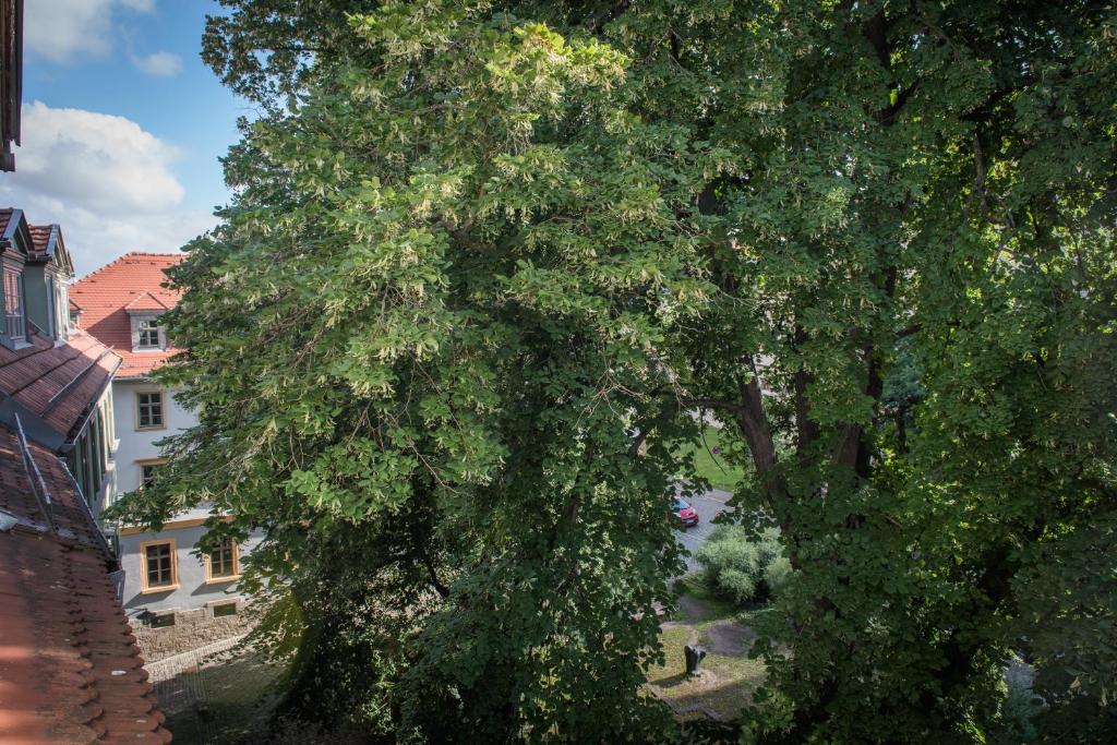 "goethezimmer" Ferienwohnung und Zimmer am Burgplatz photo 3