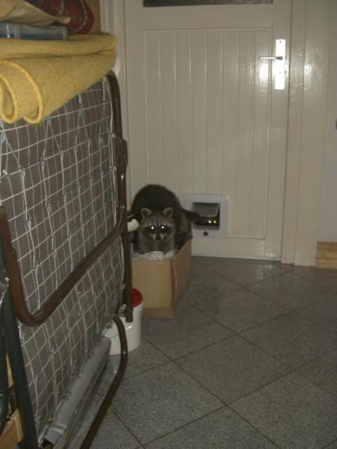 Erika's Haus in der Sonne photo 4