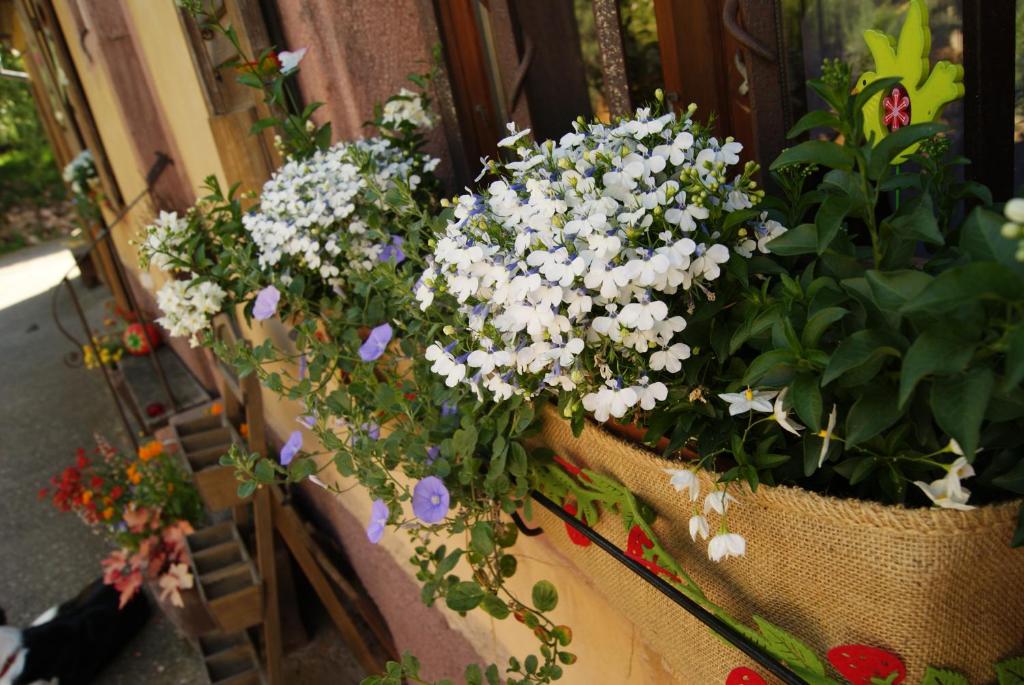 Gîte du Thalala photo 2