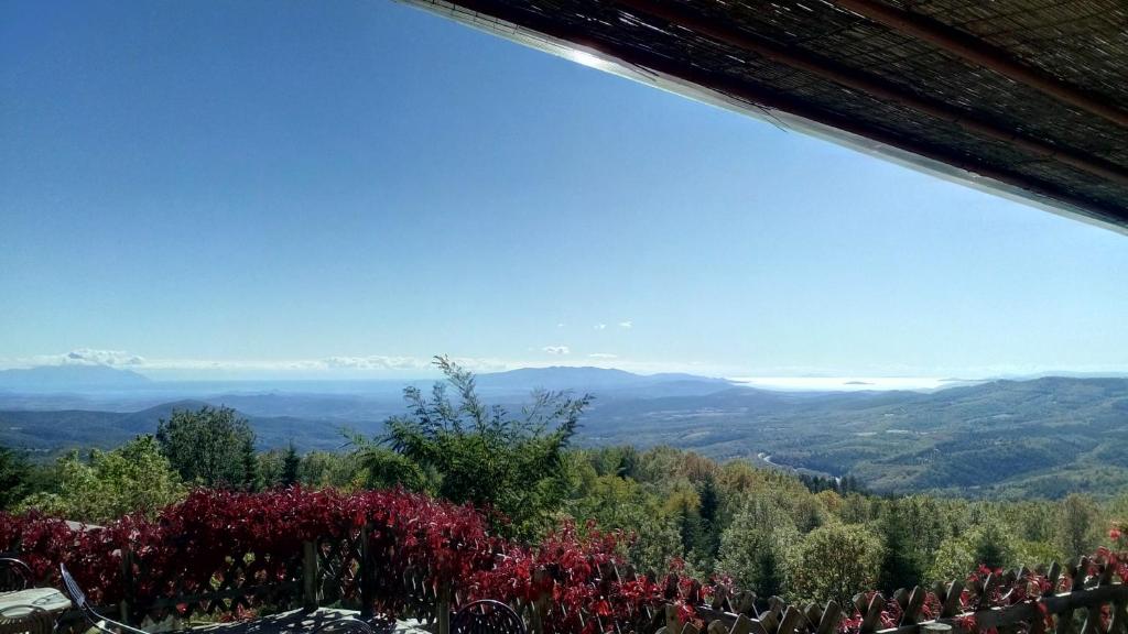 Farma photo 1