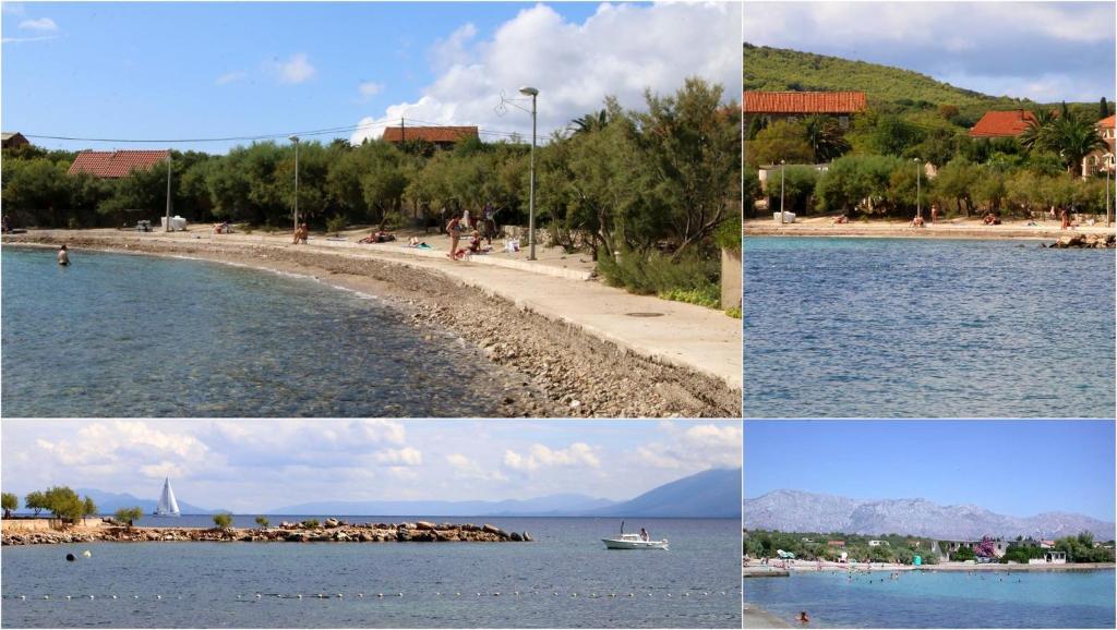 Pansion Ivan photo 2